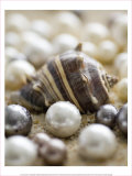 Sea Jewels II Posters by Boyce Watt