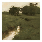 The Ancestors Prints by Megan Lightell