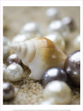 Sea Jewels I Prints by Boyce Watt