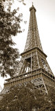 La Tour Eiffel I Affiches par Boyce Watt