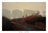 Red Hedge Plakater av Marc Bohne