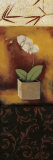 Orchid Song Posters by Rita Vindedzis