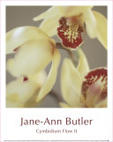 Cymbidium Flow II Print by Jane-Ann Butler