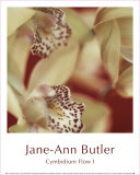 Cymbidium Flow I Posters av Jane-Ann Butler
