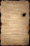 Beer Pong Constitution Photo