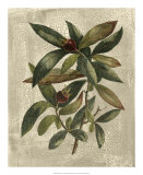 Deshayes Tree III Prints by Gerard Paul Deshayes