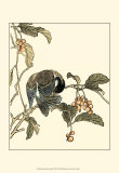 Oriental Bird on Branch IV Poster