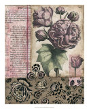 Cottage Rose II Posters by Megan Meagher Cottage Rose II Posters by Megan Meagher