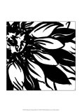 Miniature Botanical Sketch VI Prints by Ethan Harper