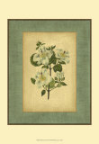 Spa Blue Curtis IV Affiches par Samuel Curtis