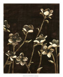 Blossom Nocturne II Art by Megan Meagher Blossom Nocturne II Art by Megan Meagher