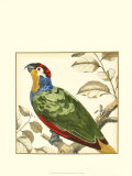 Tropical Parrot II Art by Martinet 