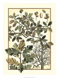 Arts and Crafts Oak Posters by M.P. Verneuil