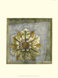 Rosette and Damask I Posters by Jennifer Goldberger