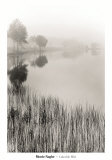 Lakeside Mist Posters par Monte Nagler