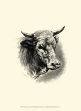 Antique Cattle II Láminas por F. Lehnert Antique Cattle II Láminas por F. Lehnert