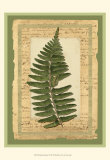 Woodland Scrapbook I Posters
