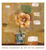Top of the Morning Prints by Zivana Gojanovic