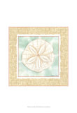 Ocean Sanddollar Prints by Chariklia Zarris