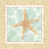Ocean Starfish Prints by Chariklia Zarris