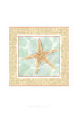Ocean Starfish Print by Chariklia Zarris