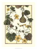 Arts and Crafts Gourd Poster by M.P. Verneuil