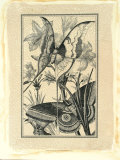 Crackled Butterfly I Poster