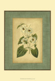 Spa Blue Curtis III Poster by Samuel Curtis