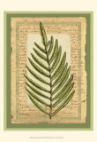 Woodland Scrapbook III Posters