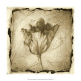 Floral Impression II Poster by Ethan Harper Floral Impression II Poster by Ethan Harper