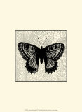 Classical Butterfly II Prints