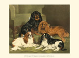 Toy Spaniels Lámina por Vero Shaw