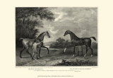 King Herod and Flying Childers Art by John Scott