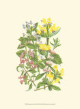 Summer Garden XI Posters by Anne Pratt