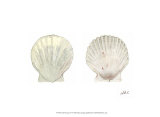 Tidal Treasure IV Prints by Alicia Ludwig