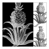 Pop Pineapple II Art