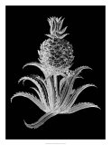 Pineapple Noir II Affiches