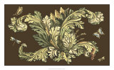 Nature's Splendor on Chocolate II Posters by Michel Pergolesi