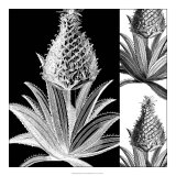 Pop Pineapple I Posters