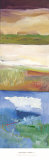 Nantucket Vistas II Posters by Marlene Lenker