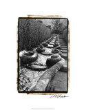 Italian Garden IV Giclee Print by Laura Denardo Italian Garden IV Giclee Print by Laura Denardo