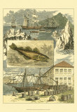 Fisherman's Vignette III Print