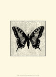 Classical Butterfly I Posters
