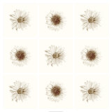Neutral Bouquet Art par Jason Johnson