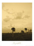 Viera Dusk I Posters by Rene Griffith