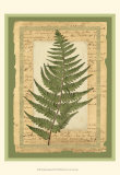 Woodland Scrapbook II Art