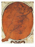 Madonna Wydruk giclee autor Lorenzo di Credi Madonna Wydruk giclee autor Lorenzo di Credi