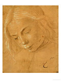 Portrait of a Young Man, Three-Quarter Profile, Bent Gicleetryck av Lorenzo di Credi