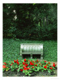 Neo-Gothic Bench in the Park of Babelsberg Palace, Potsdam Giclee Print by Karl Friedrich Schinkel