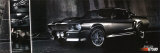 Shelby GT500 Prints